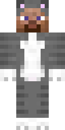 Steve Minecraft skin preview